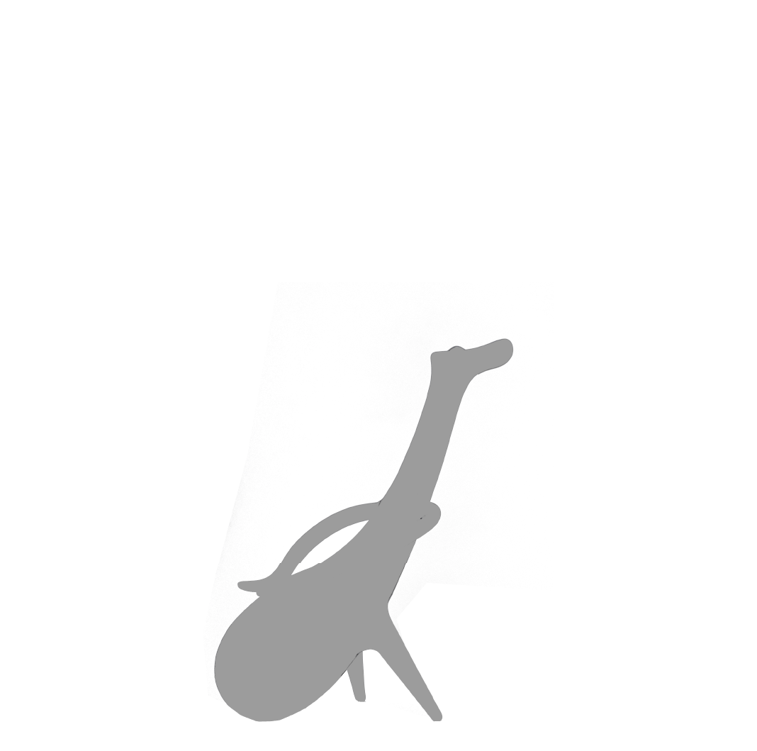 Morphosis
